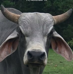 Meet your Posher, Todd